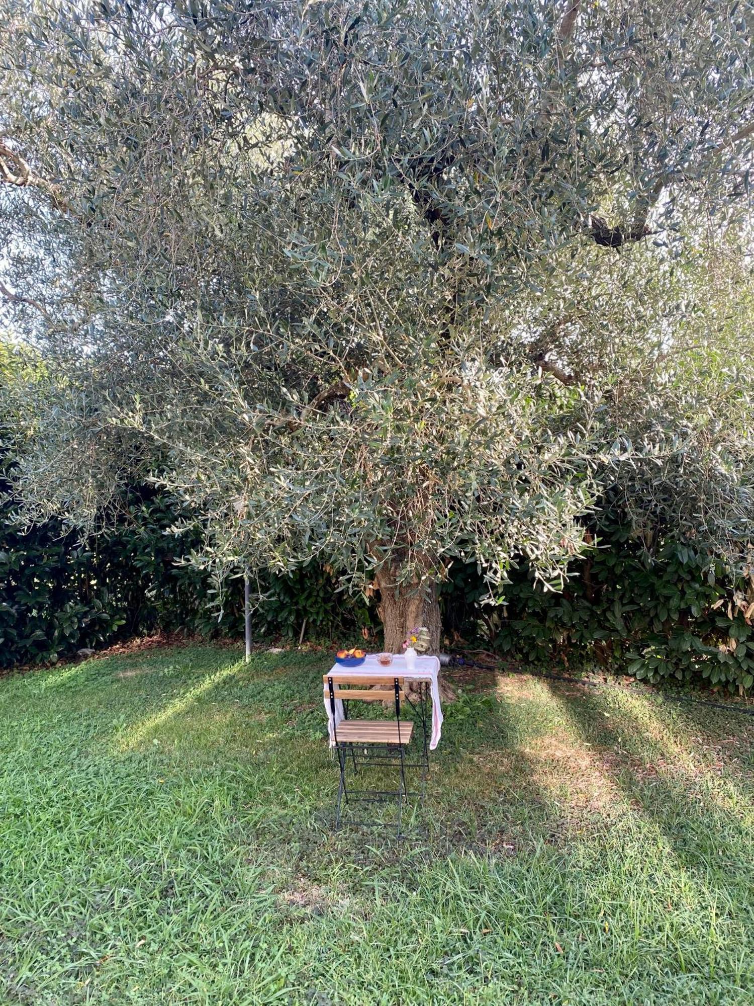 La Locanda Del Tevere Fiano Romano Bagian luar foto