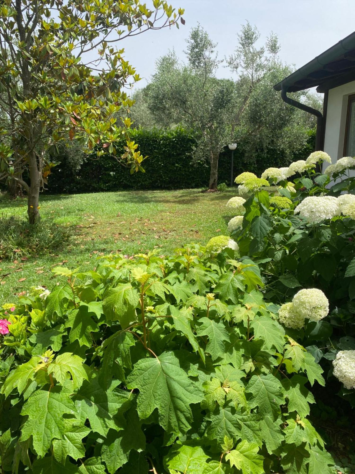 La Locanda Del Tevere Fiano Romano Bagian luar foto
